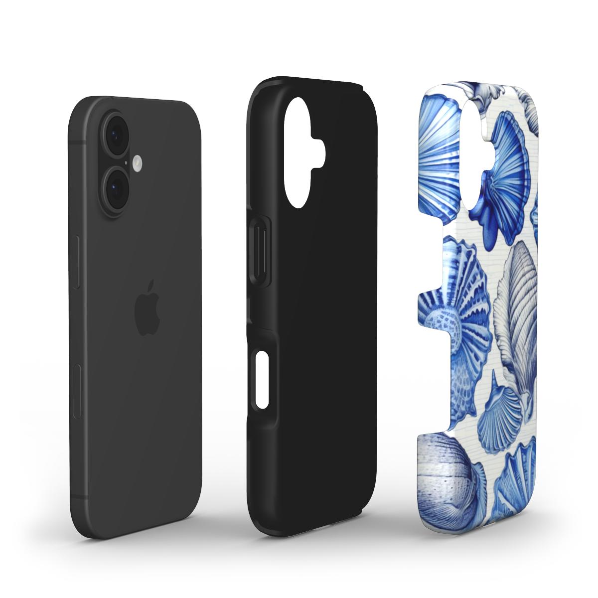 Shells from a Blue Beach