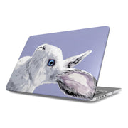 Lapin Pop