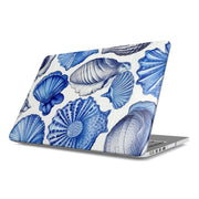 Shells from a Blue Beach