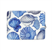 Shell from a Blue Beach