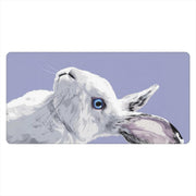 Lapin Pop