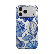Shells from a Blue Beach