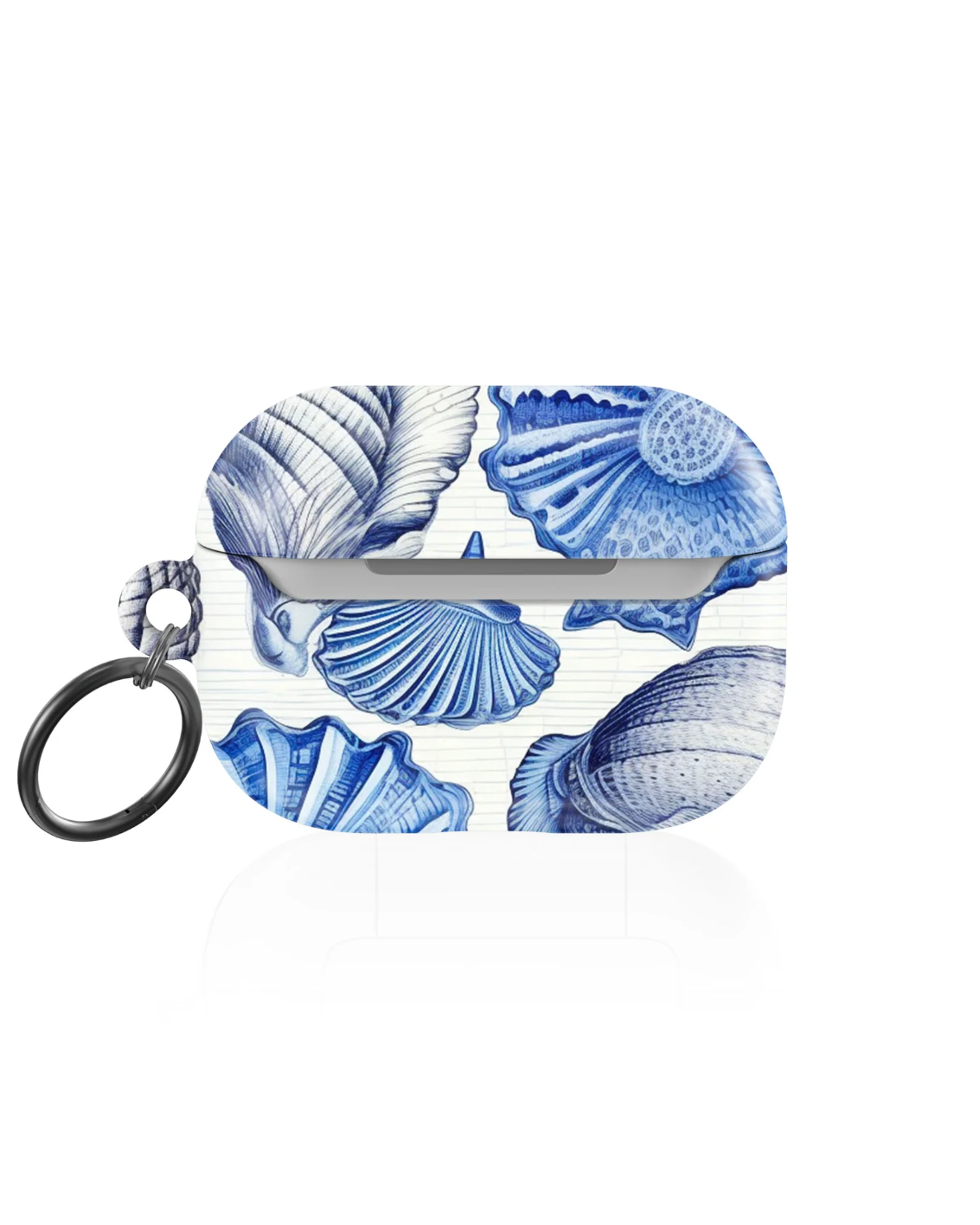 Shells from a Blue Beach