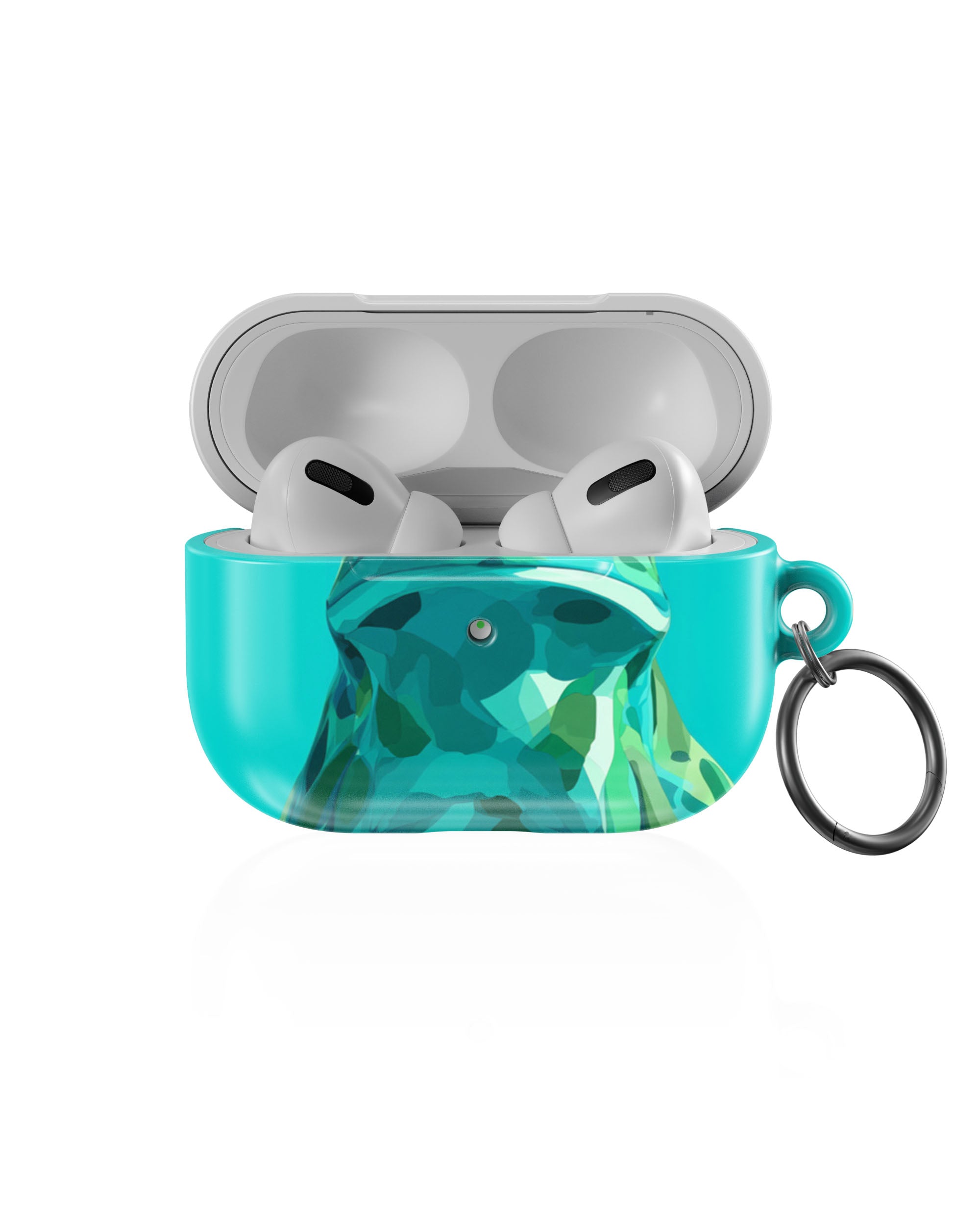 Pop Amphibia