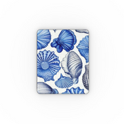 Shells from a Blue Beach